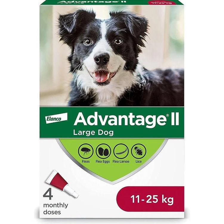 Advantage II Flea Treatment For Dogs 11 to 25 Kg (Red) - Image 3