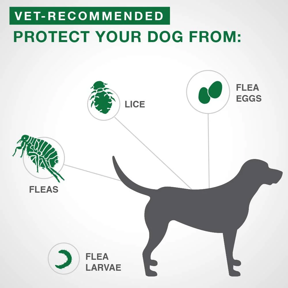 Advantage II Flea Treatment For Dogs 11 to 25 Kg (Red) - Image 6